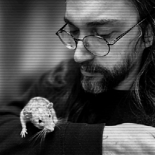 Author image of Alya Marchenko