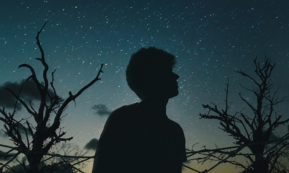 Story image for The Witness by 