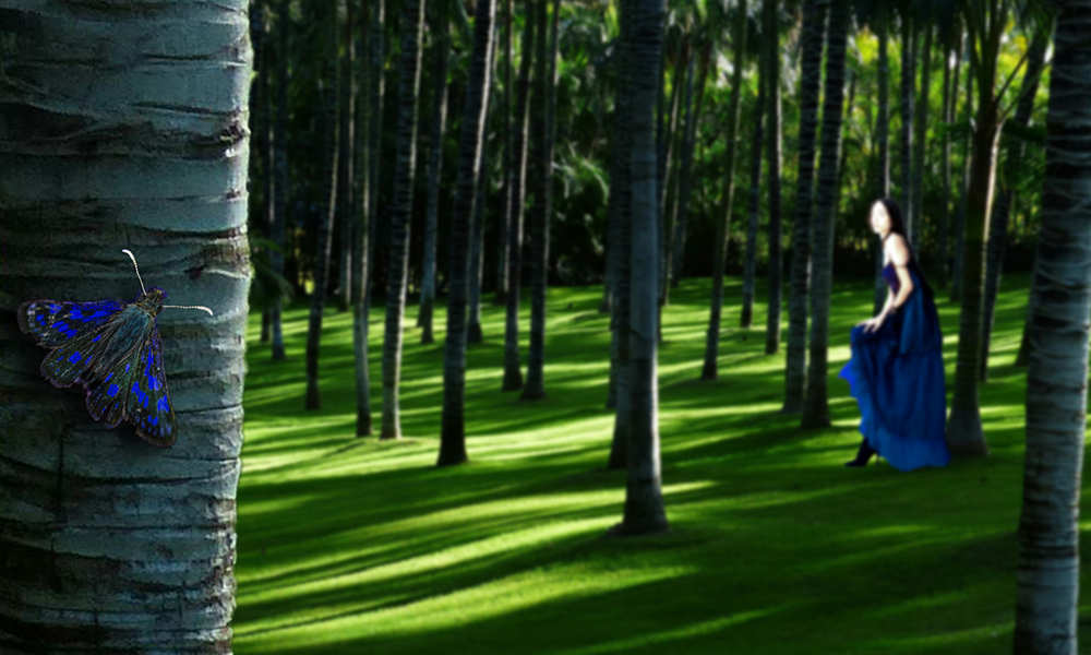 Story image for The Negotiation by Vanessa Fabiano